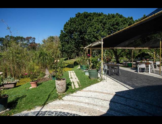 FARM FOR SALE IN PIESANG VALLEY